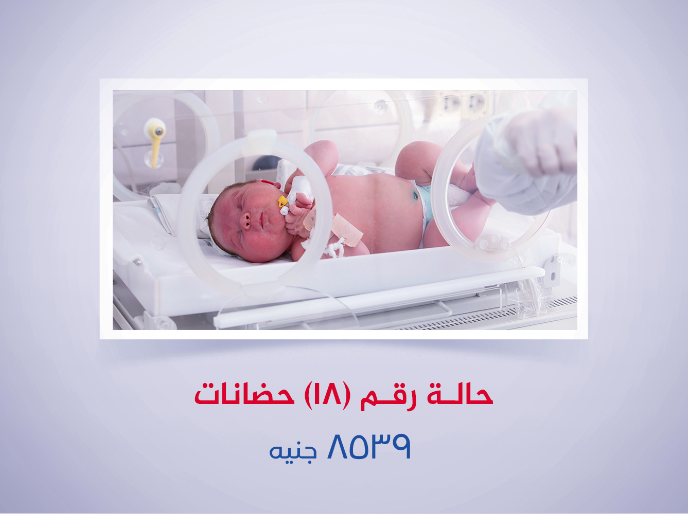 حالة رقم (18) حضانات