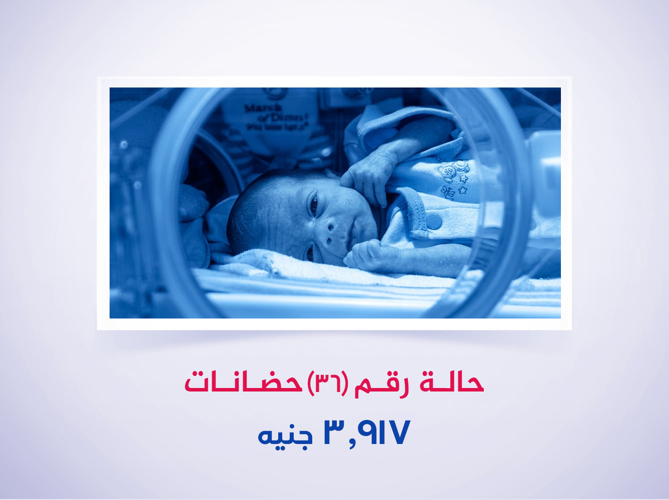 حالة رقم (36) حضانات