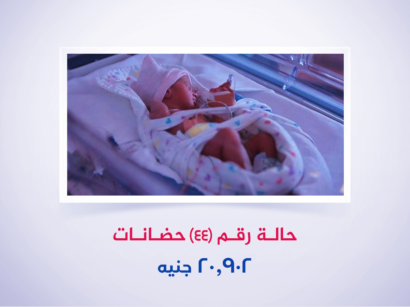 حالة رقم (44) حضانات