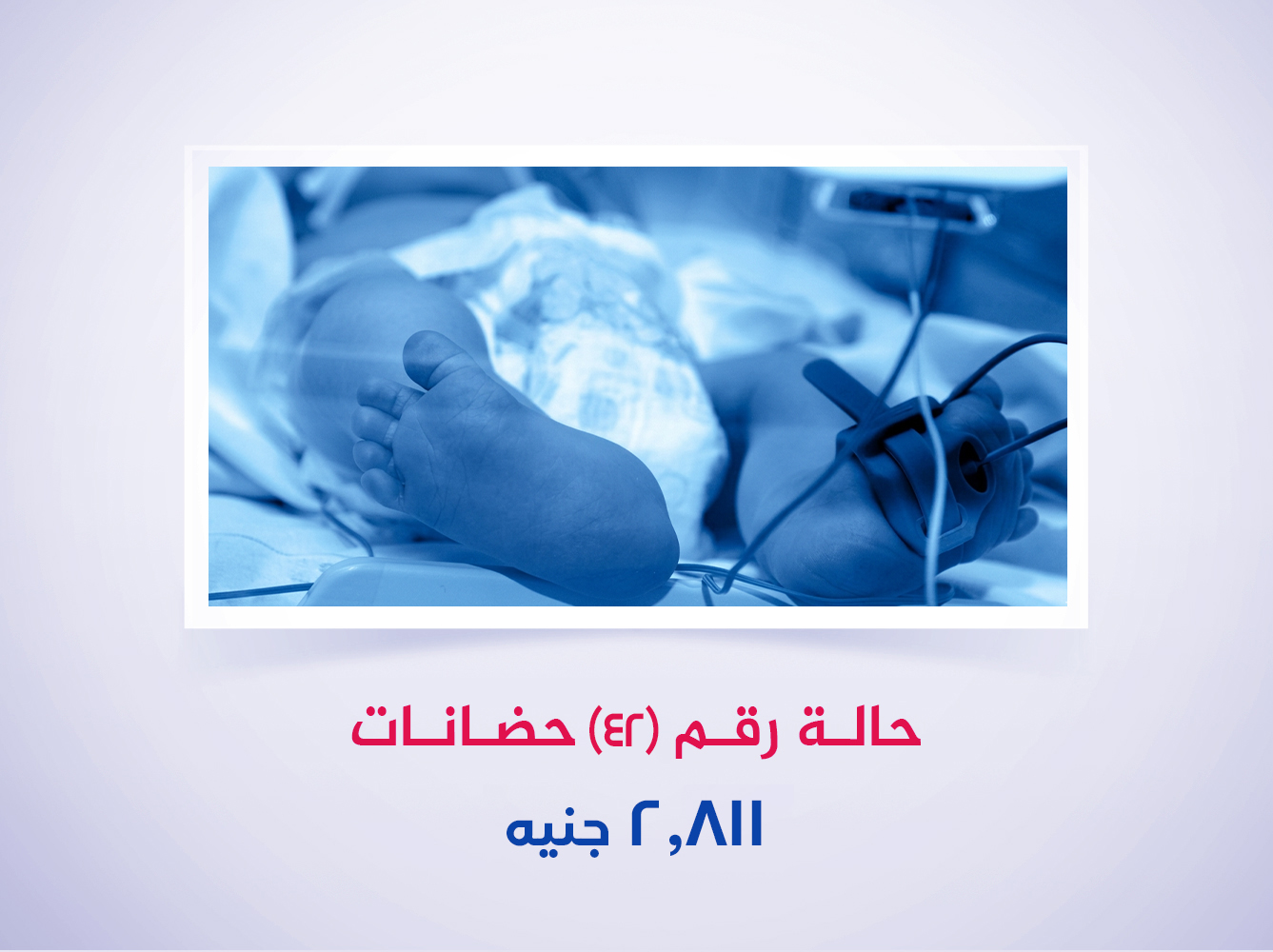 حالة رقم (42) حضانات