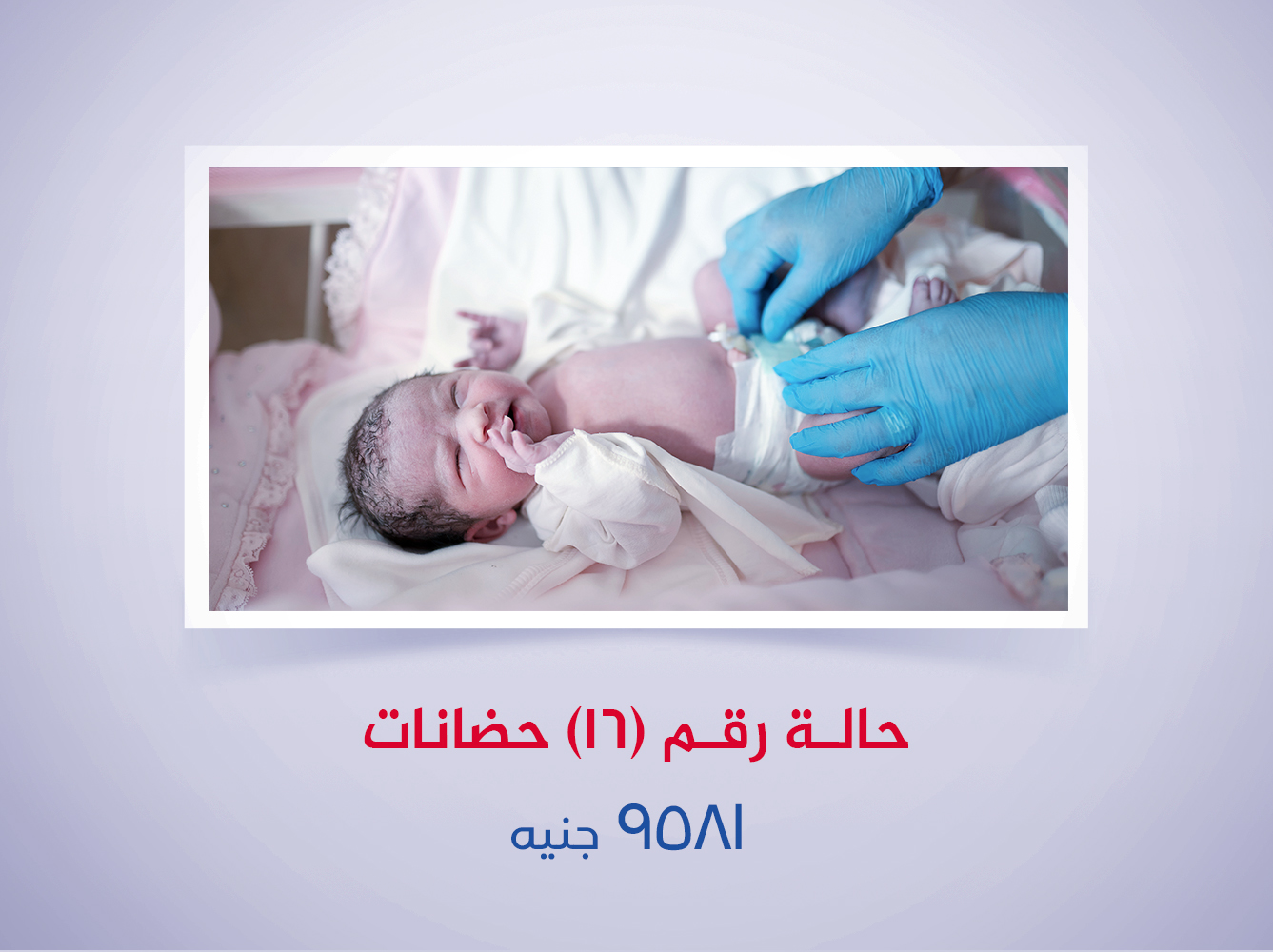 حالة رقم (16) حضانات