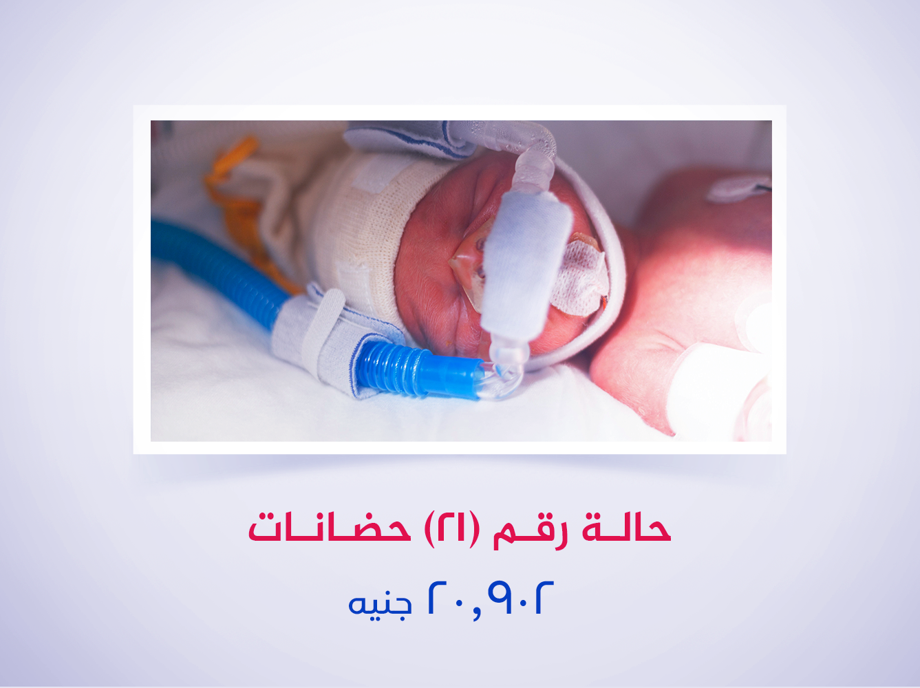 حالة رقم (21)_ حضانات