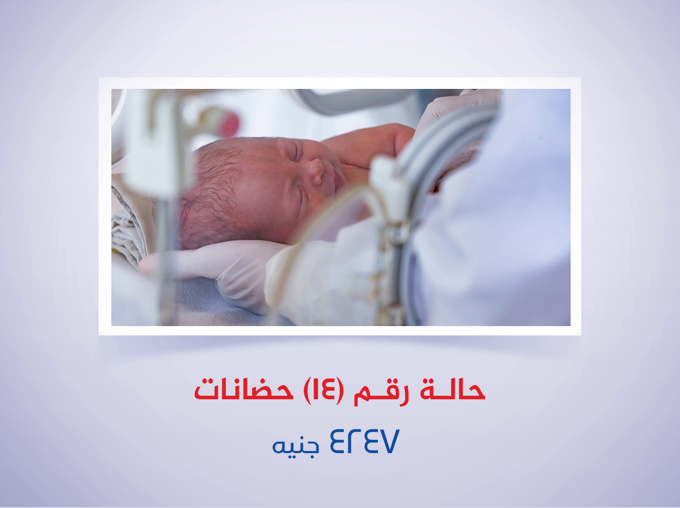 حالة رقم (14) حضانات