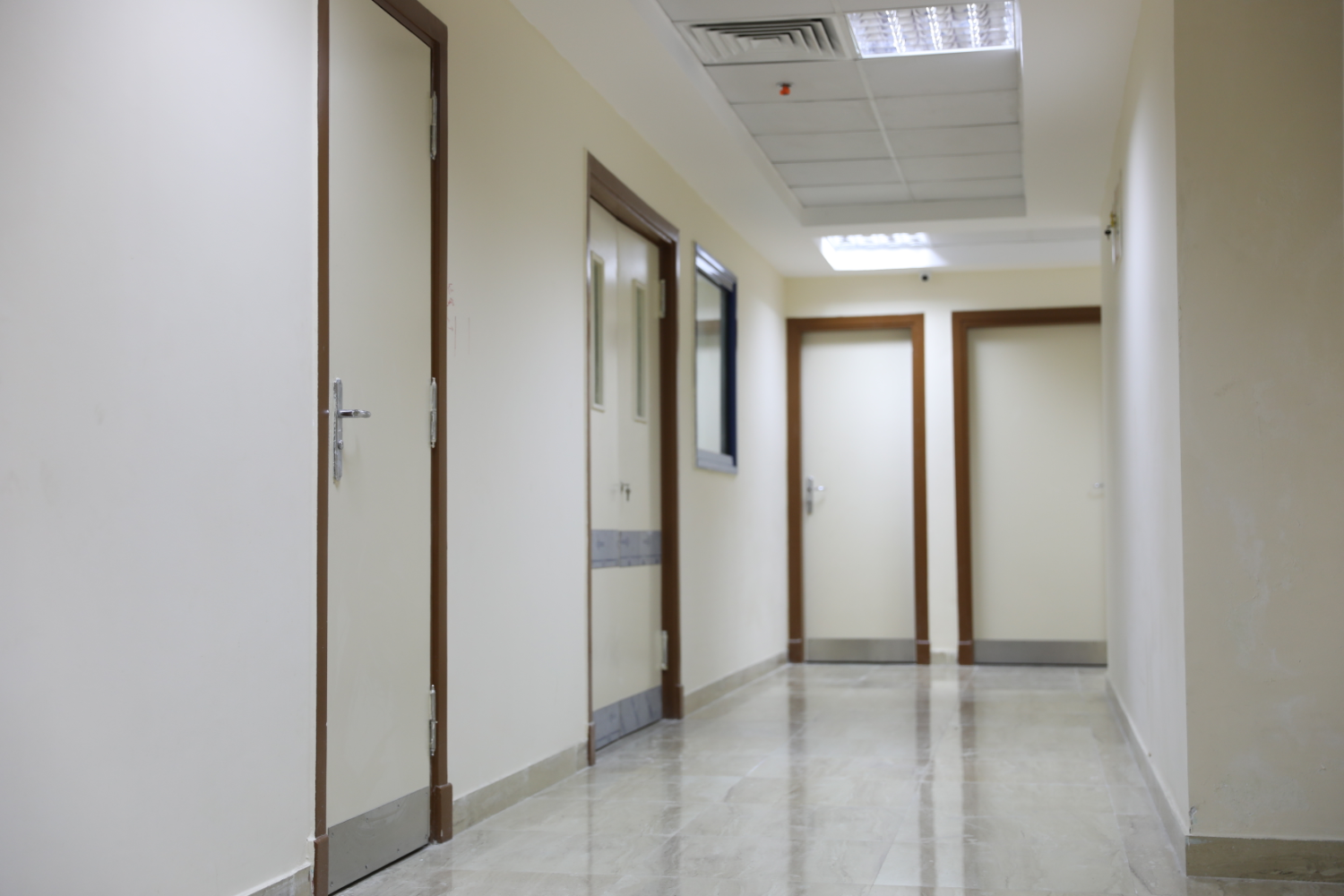 الميزانية السنوية لعام 2019