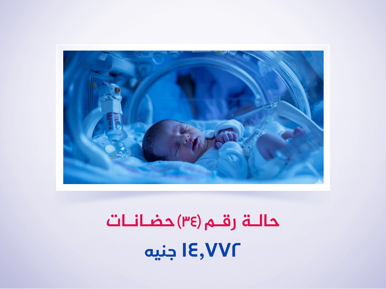 حالة رقم (34) حضانات