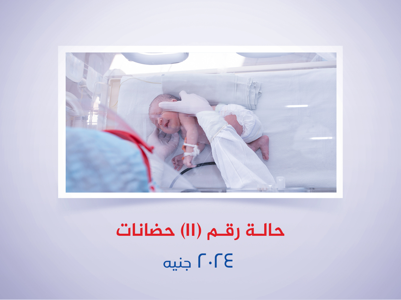 حالة رقم (11) حضانات