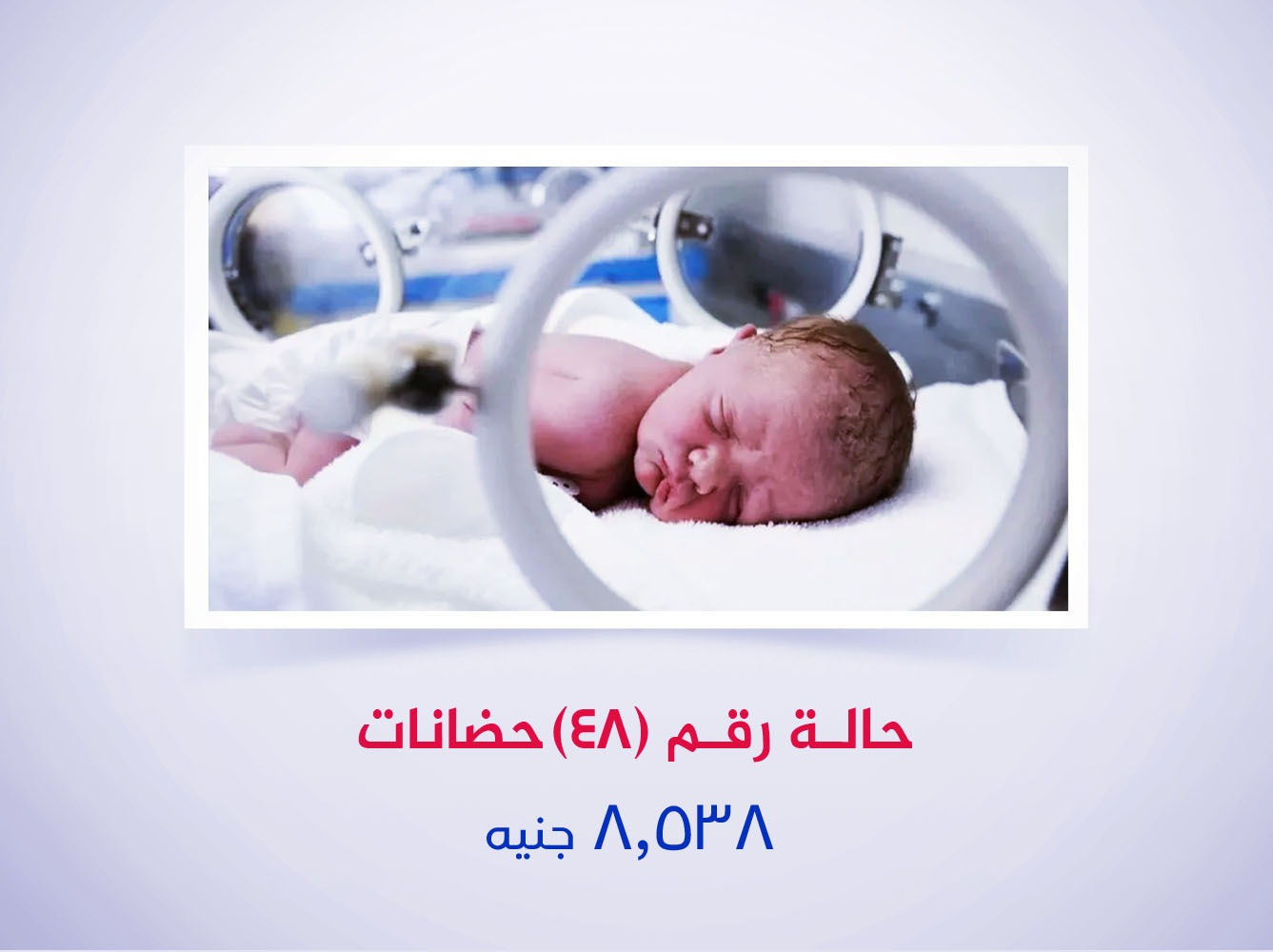 حالة رقم (48) حضانات