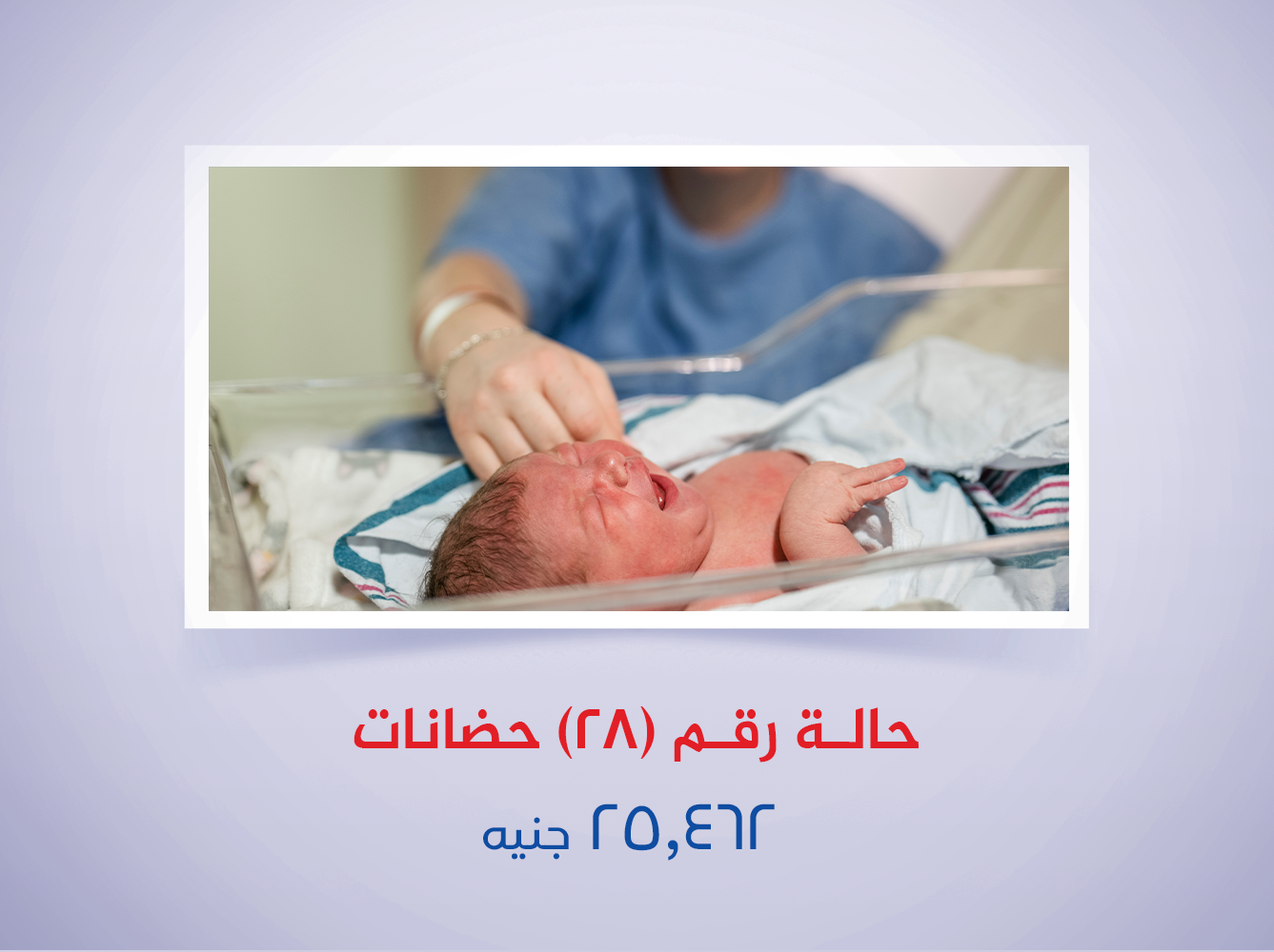 حالة رقم (28) حضانات