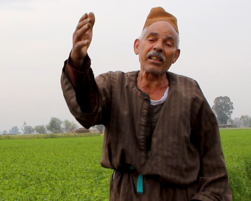 فلاح طيب من الشرقية