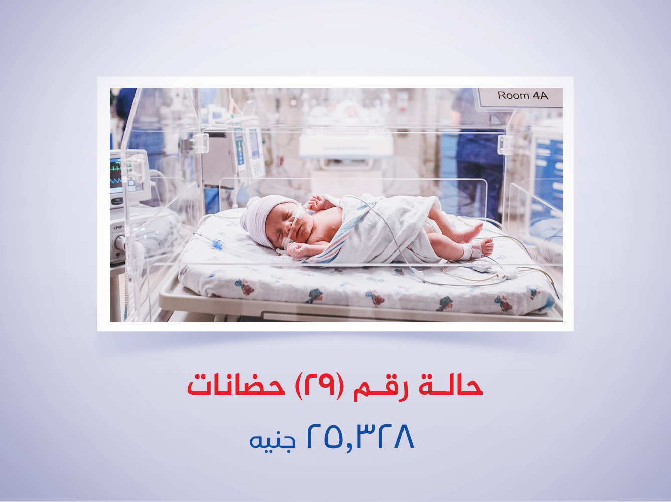 حالة رقم (29) حضانات