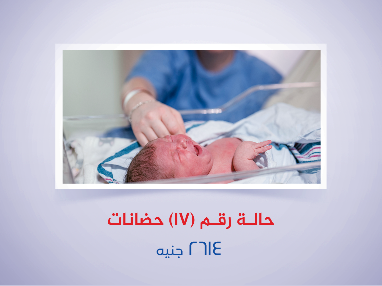 حالة رقم (17) حضانات